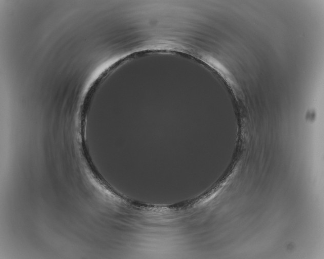 X0000091081120200708131249