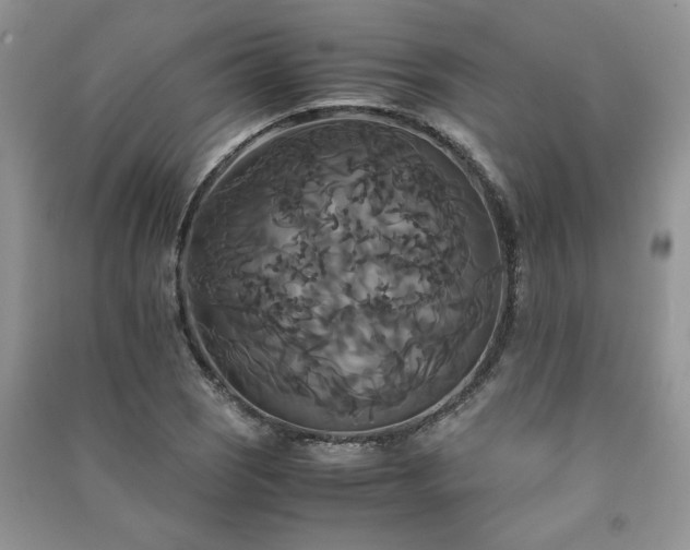 X0000091081121200708131249