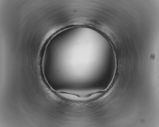 X0000091081122200708131249