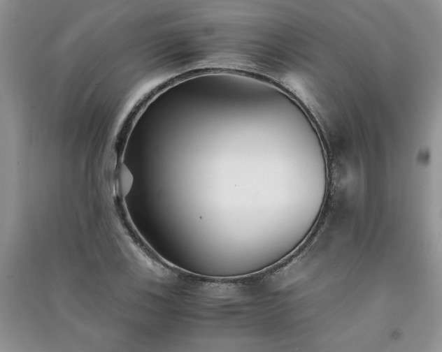 X0000091081123200708131249