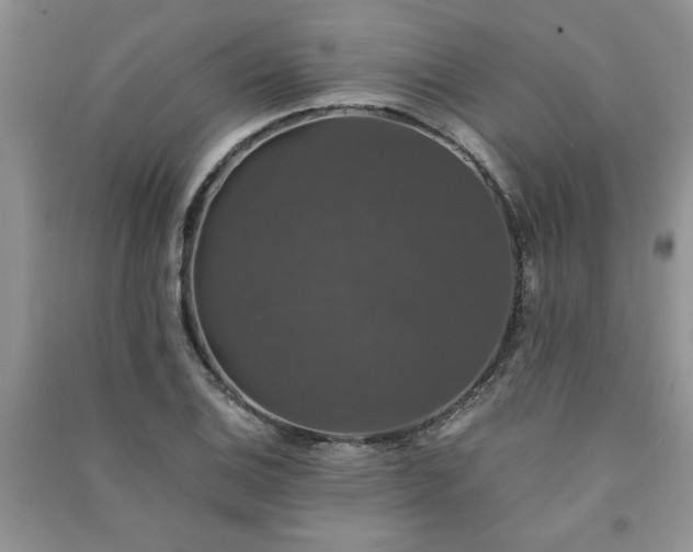 X0000091081124200708131249