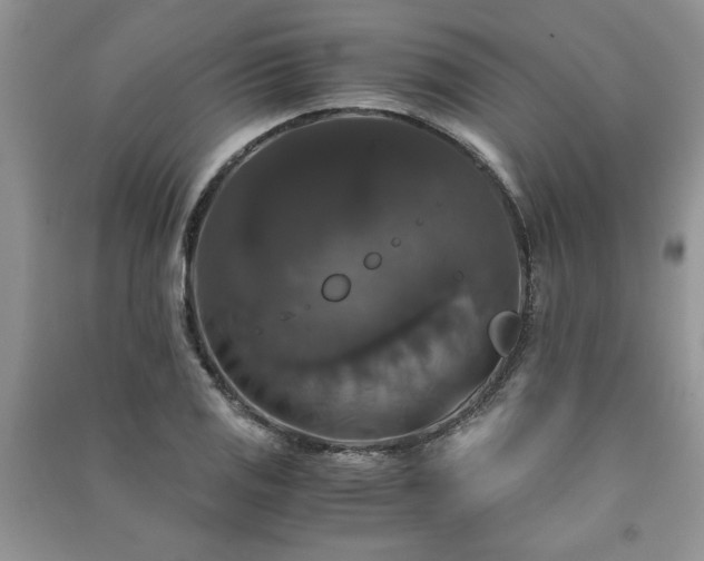 X0000091081125200708131249