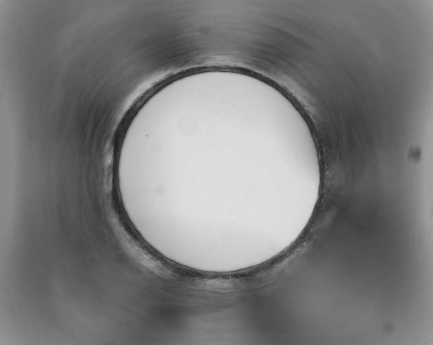 X0000091081126200708131249