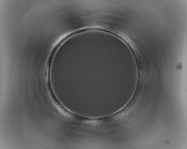 X0000091081127200708131249