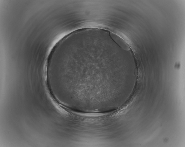 X0000091081128200708131249