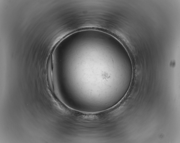 X0000091081129200708131249