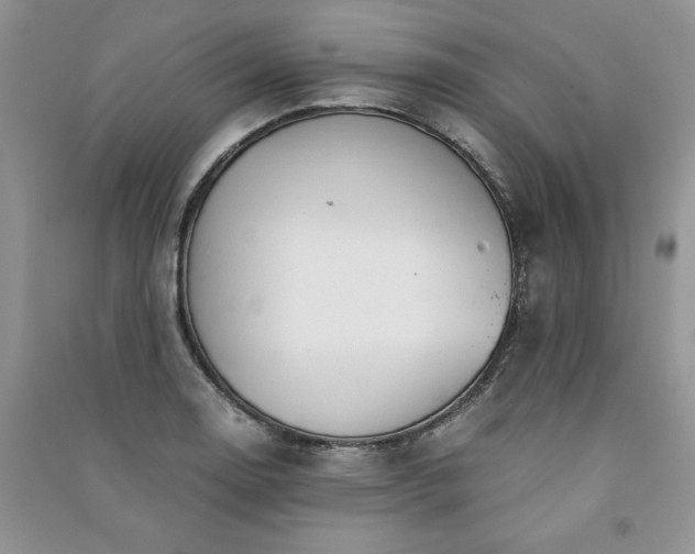 X0000091081130200708131249