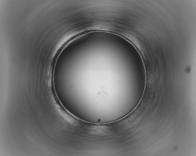 X0000091081131200708131249