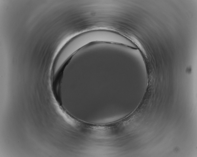 X0000091081132200708131250