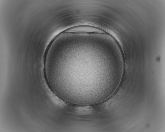 X0000091081133200708131250