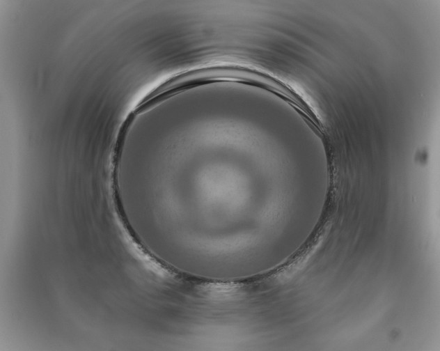 X0000091081134200708131250