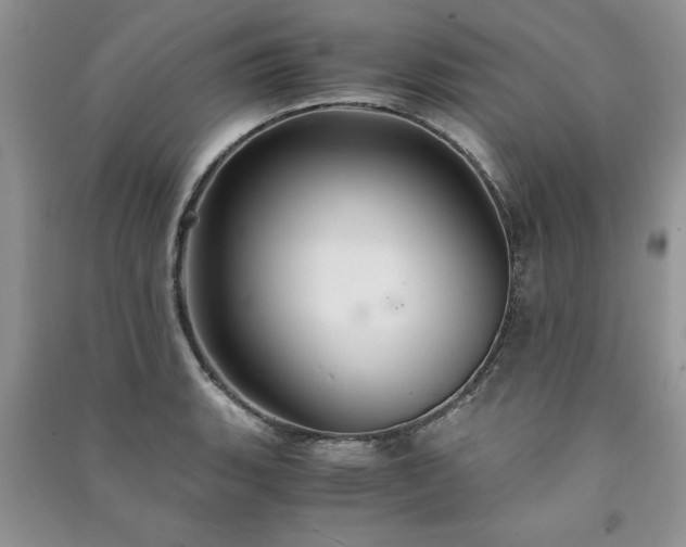 X0000091081135200708131250