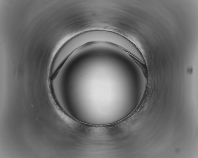 X0000091081136200708131250