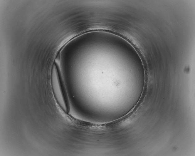 X0000091081137200708131250