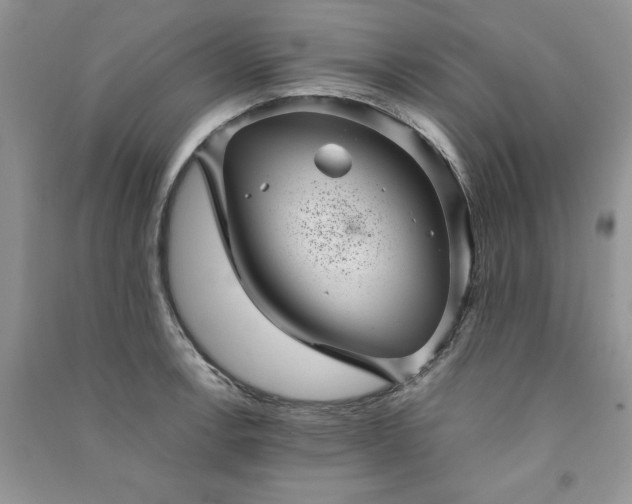 X0000091081138200708131250