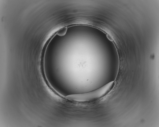 X0000091081139200708131250