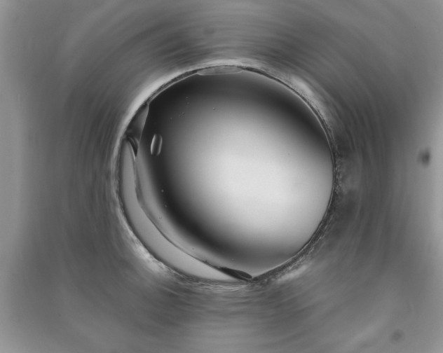 X0000091081140200708131250