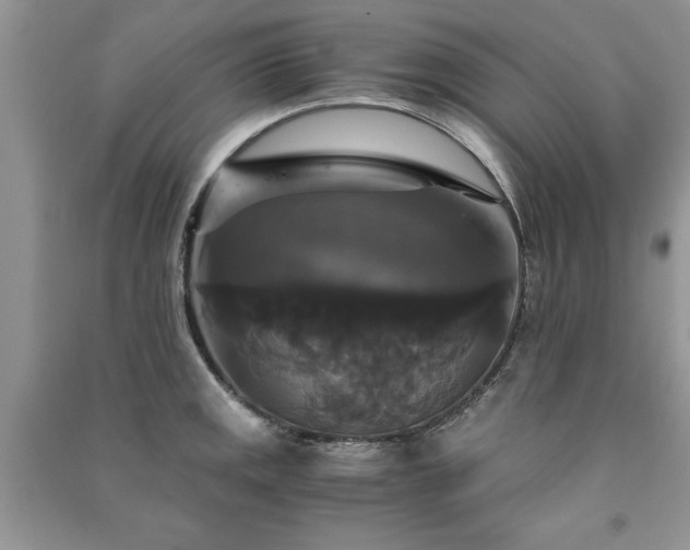 X0000091081141200708131250