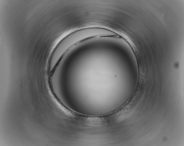 X0000091081142200708131250