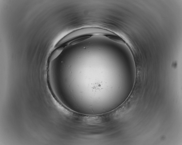 X0000091081143200708131250