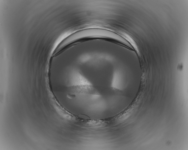 X0000091081146200708131250