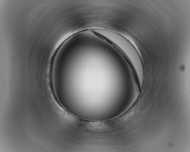 X0000091081147200708131250