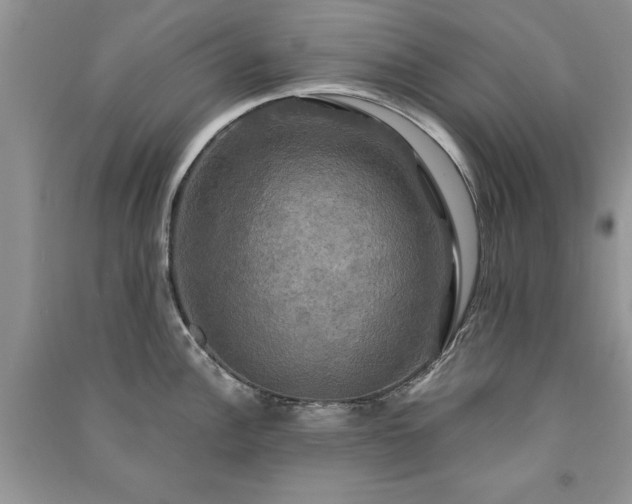 X0000091081148200708131250