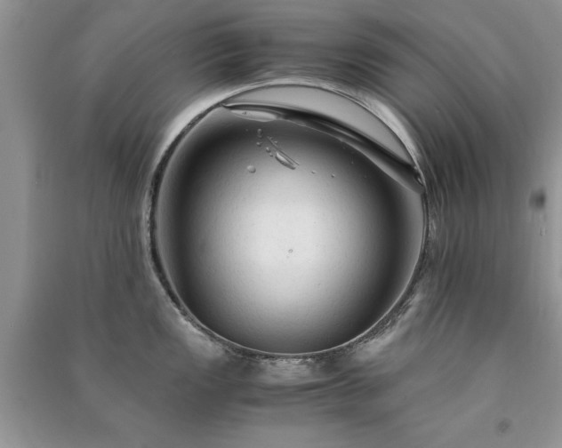 X0000091081149200708131250