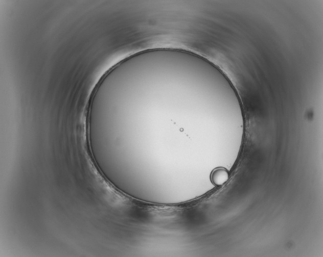 X0000091081150200708131250