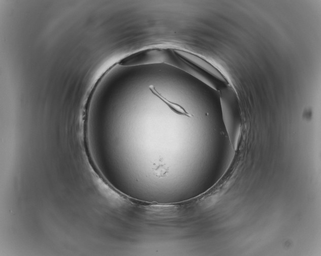 X0000091081151200708131250