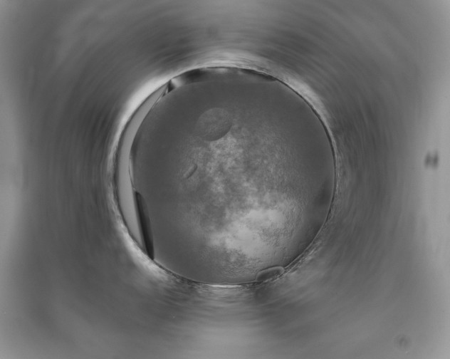 X0000091081152200708131250