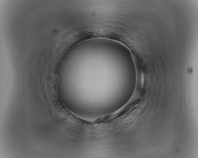 X0000091081153200708131249