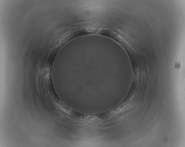 X0000091081154200708131249