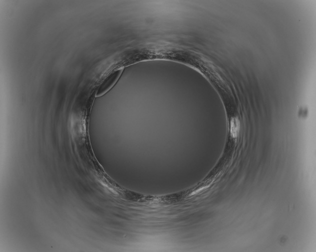 X0000091081155200708131249