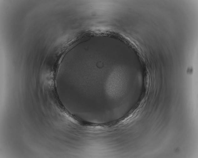 X0000091081156200708131249