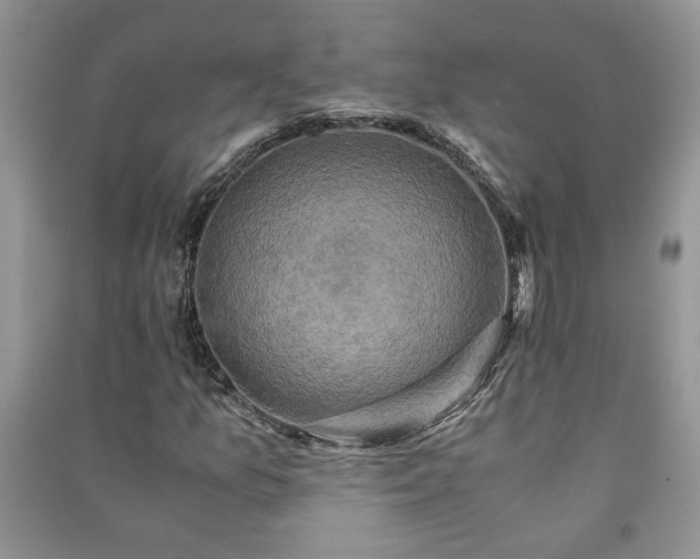 X0000091081157200708131249