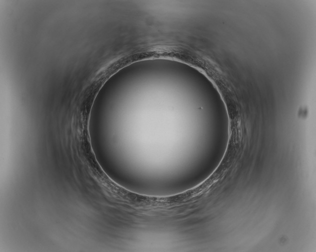 X0000091081158200708131249