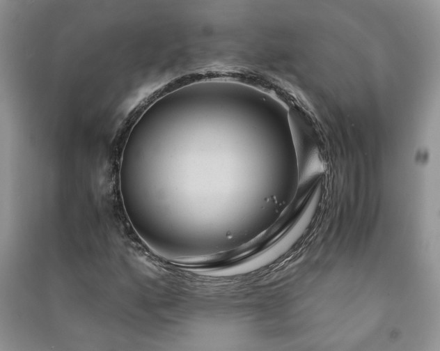 X0000091081160200708131249