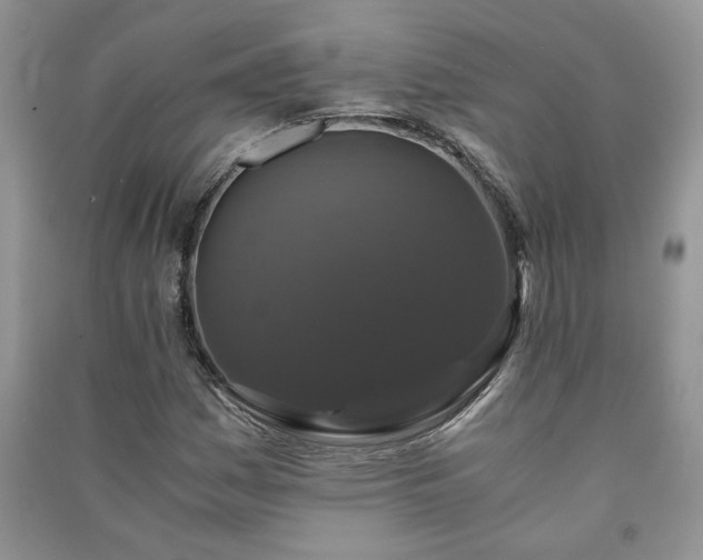 X0000091081161200708131249