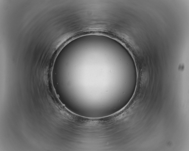 X0000091081162200708131249