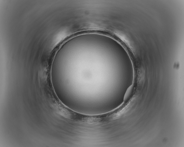 X0000091081163200708131249