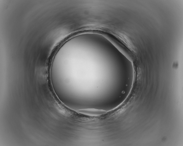 X0000091081164200708131249