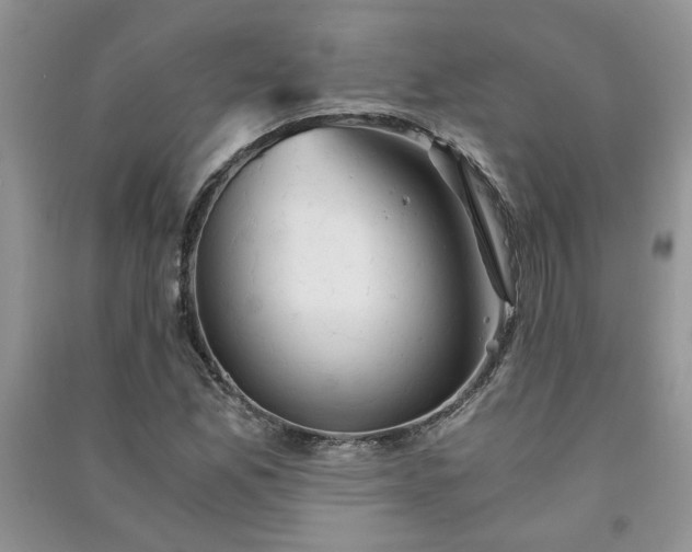 X0000091081165200708131249