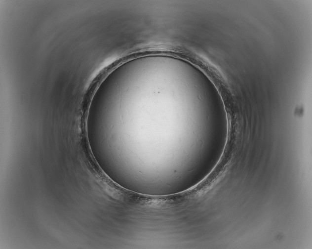 X0000091081166200708131249