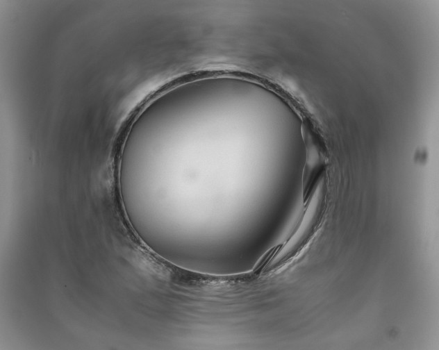 X0000091081167200708131249