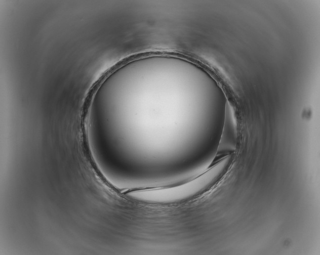 X0000091081168200708131249