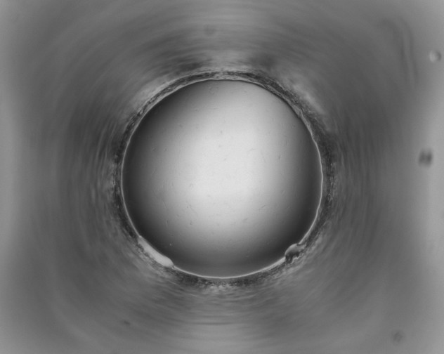 X0000091081169200708131249