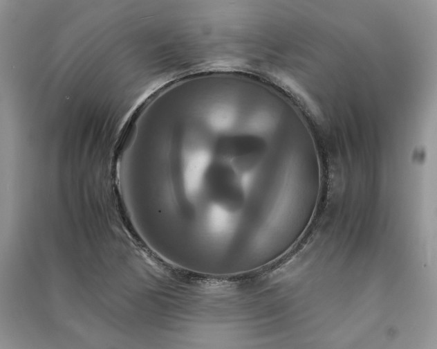 X0000091081170200708131249