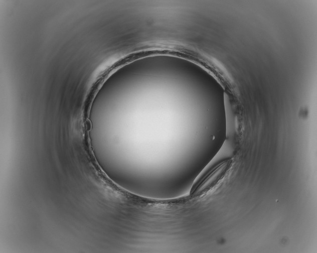 X0000091081172200708131249