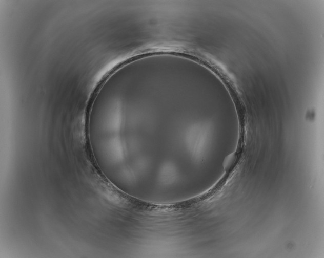 X0000091081174200708131249